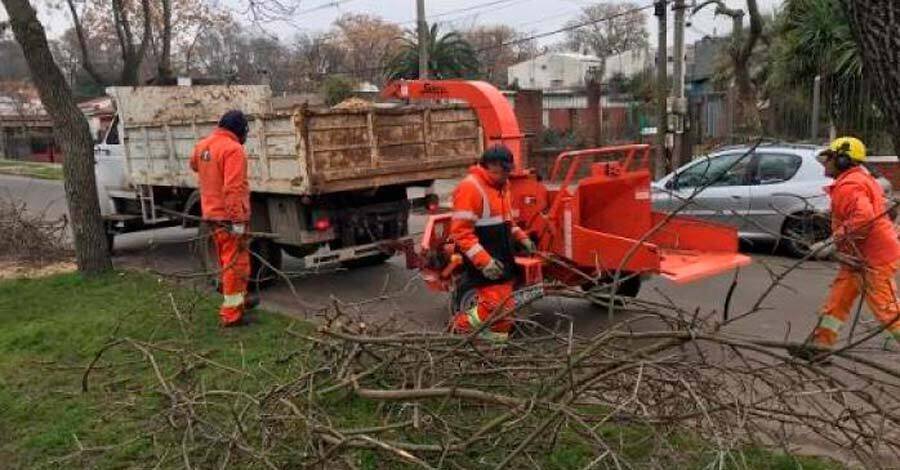 Se vienen realizando podas en los barrios del Municipio G