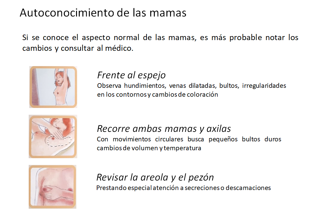 Auto examen de mamas