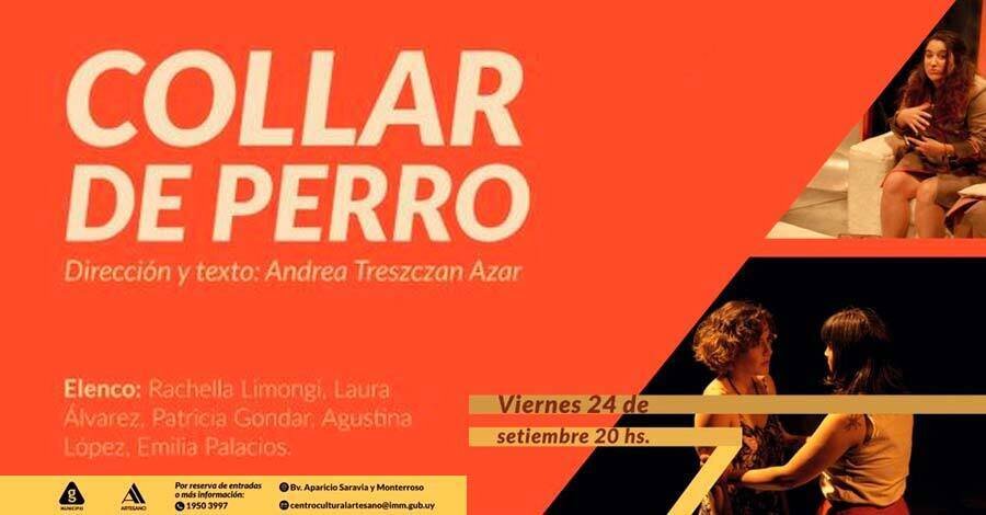 collar de perro en el centro cultural artesano