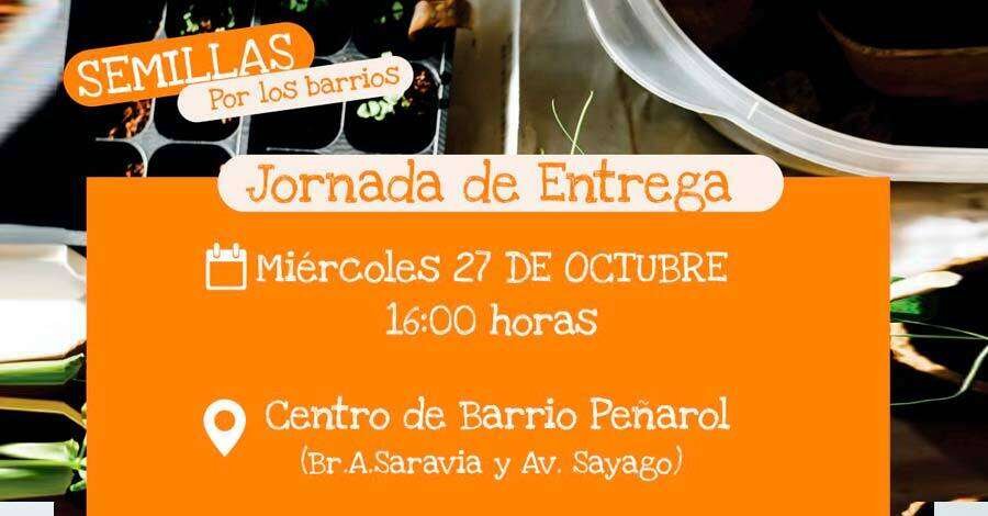 jornada-de-entrega-de-semillas-en-el-centro-de-barrio-peñarol