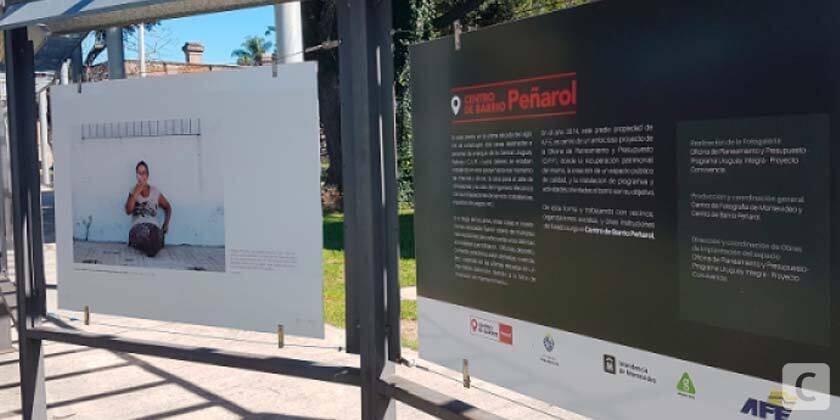 nada crece a la sombra fotogaleria del CBP