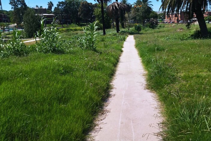 Acondicionamiento luminico y electrico del Espacio Lezica caminos