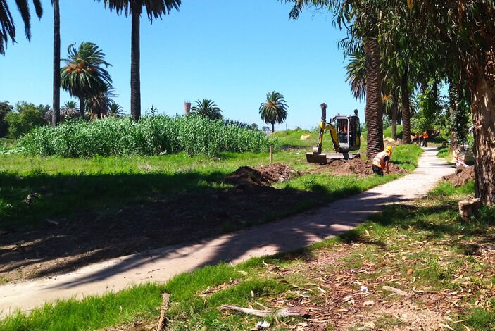 Acondicionamiento luminico y electrico del Espacio Lezica trabajando