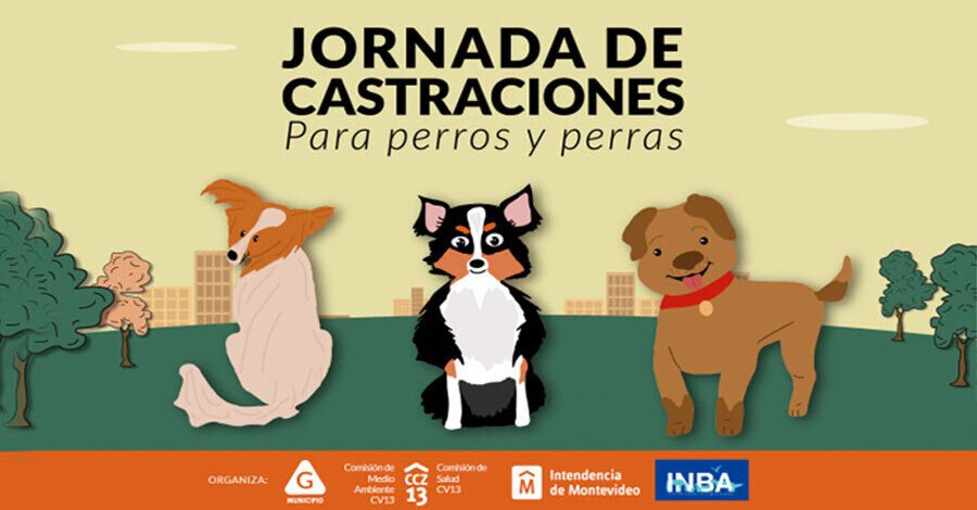 Jornada de castraciones julio 2022