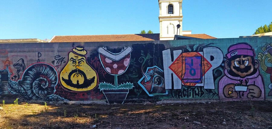 Muros que hablan 04 Colegio Pio