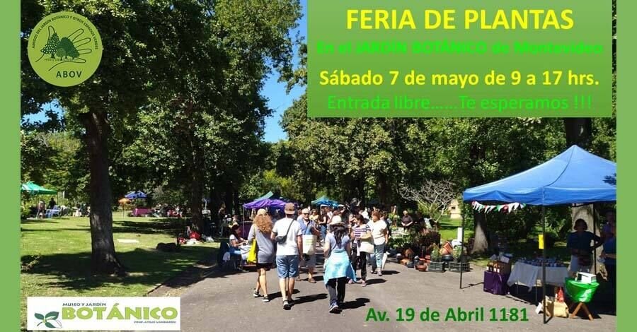 Feria de plantas