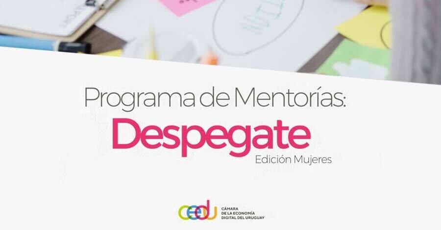  Programa Despegate! 