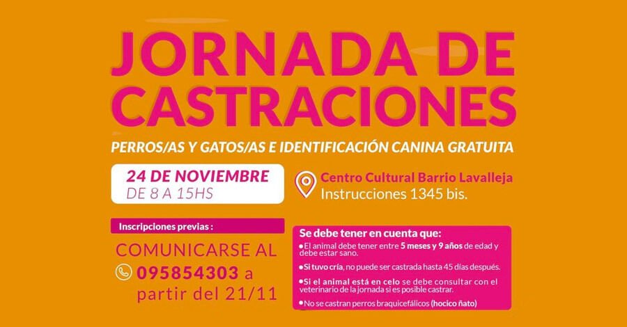 Jornada de Castraciones de perros y gatos en el Barrio Lavalleja