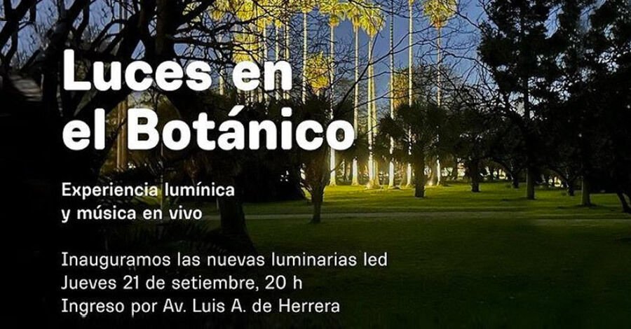 Luces en el Botánico