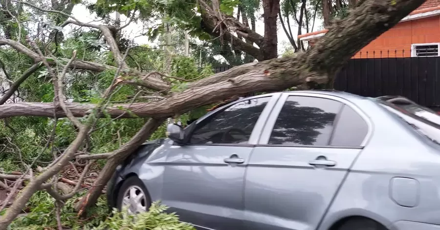 Fuerte turbonada afectó principalmente a los barrios Sayago, Prado y Peñarol 