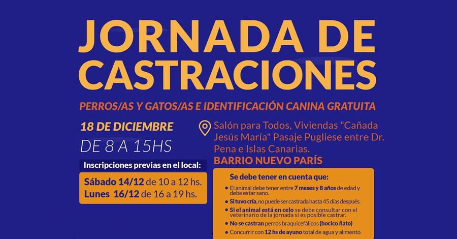 Castraciones de perros y gatos en Nuevo París