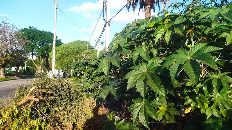 ex hotel giot contaminado 2