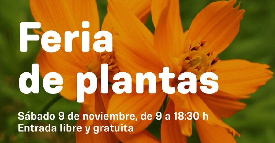 Última feria de plantas del año en el Jardín Botánico