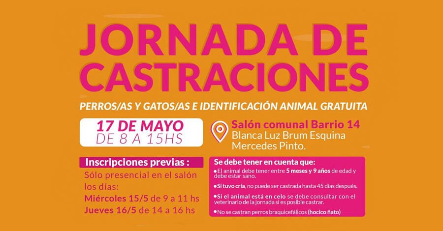 Jornada de castraciones gratuitas en Barrio 14