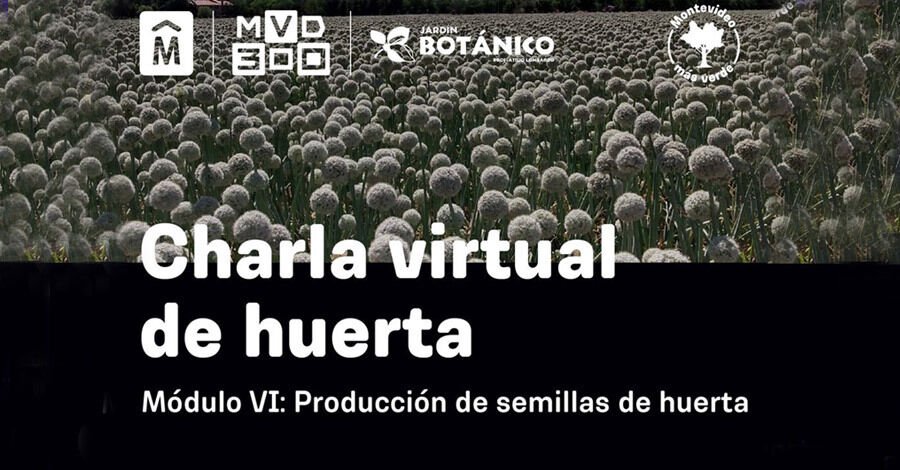 Ciclo de charlas Cultivos de Huerta 