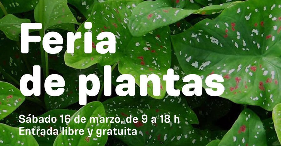 Feria de Plantas en el Jardín Botánico de Montevideo