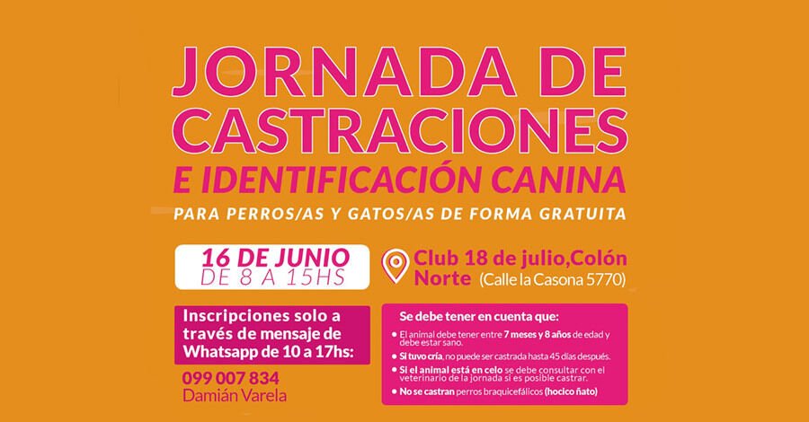 Castraciones gratuitas en el Club 18 de Julio Colón Norte