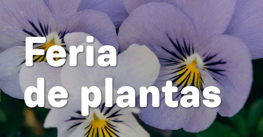 Vuelve la feria de plantas al Jardín Botánico de Montevideo
