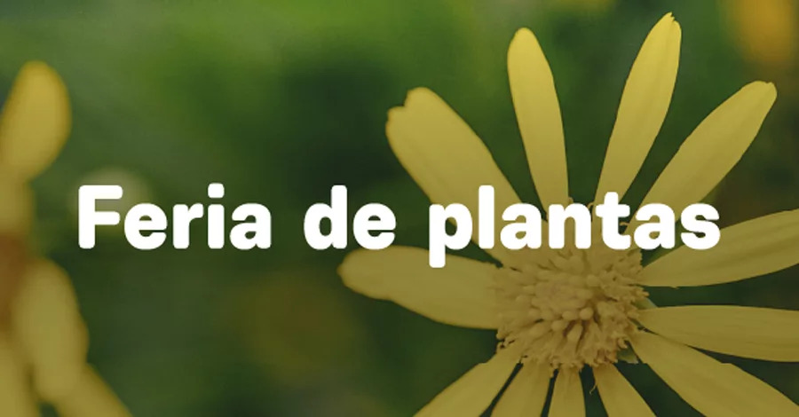 Ferias de plantas del Jardín Botánico