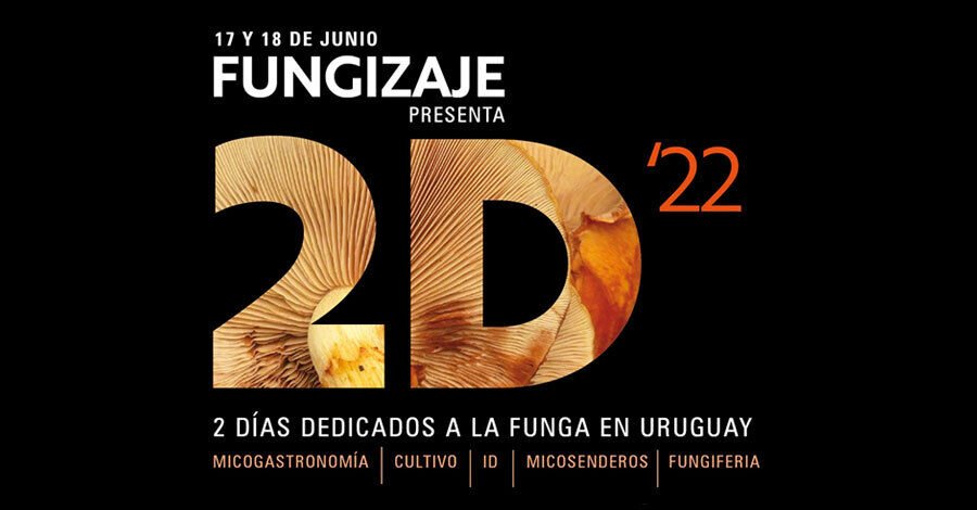 FUNGIZAJE 2D 2022