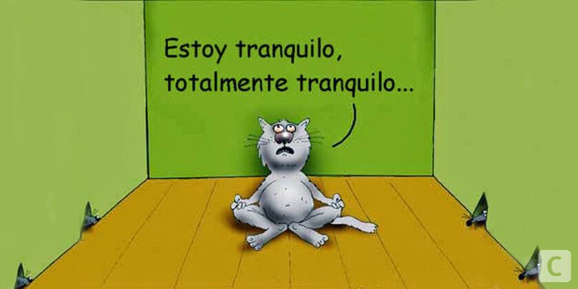 Humor de viernes Que tamos en Primavera le toy diciendo