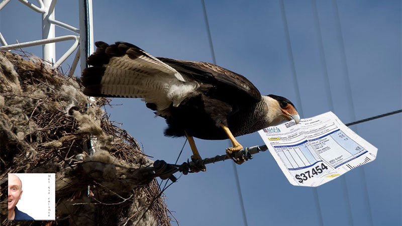 099 No descansa nunca -  carancho la ute!