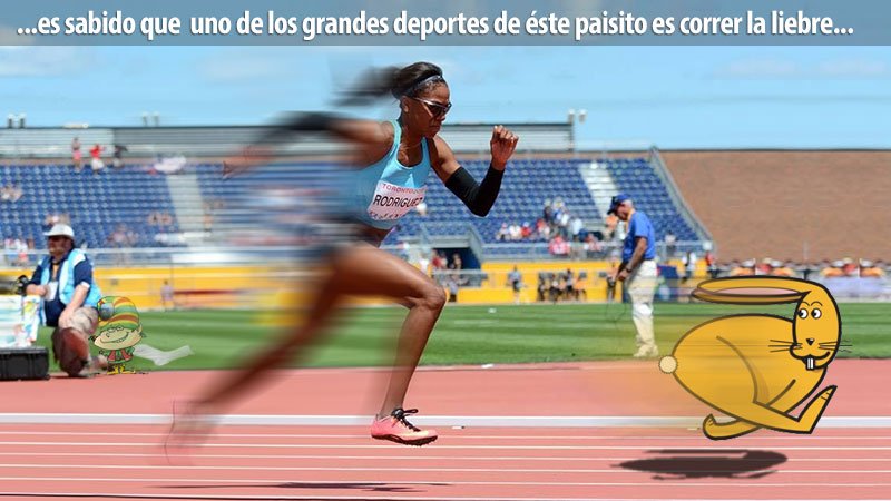 101 debora tras la liebre