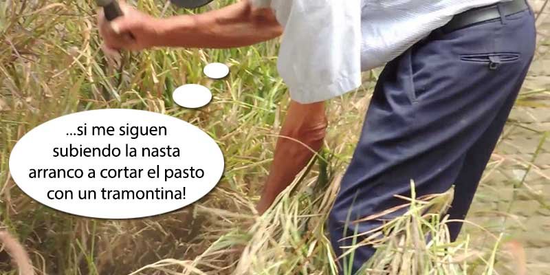 121 de poda y otras yerbas