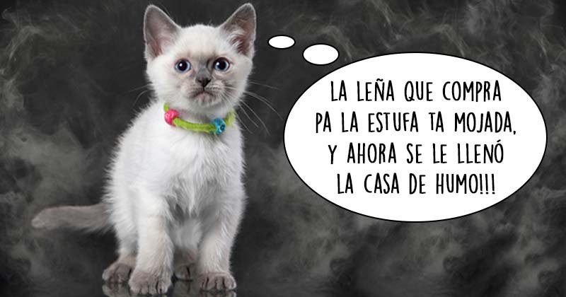 Humor de viernes Dilemas y placeres de la vida