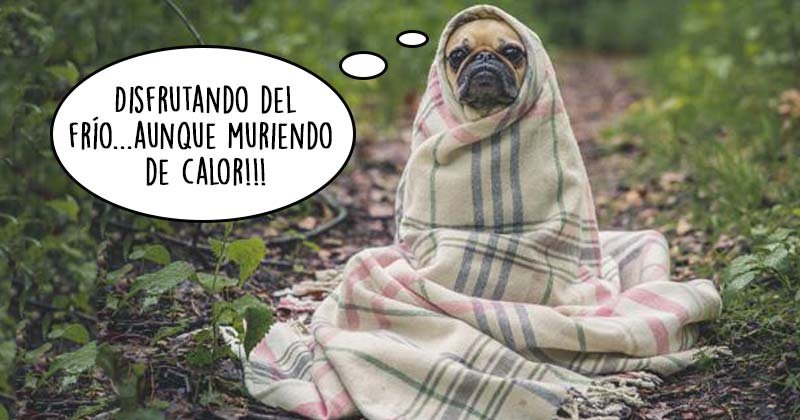 Humor de viernes La silla del cuarto