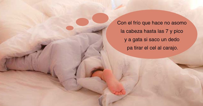 Humor de viernes Ojaldre con las heladas uno