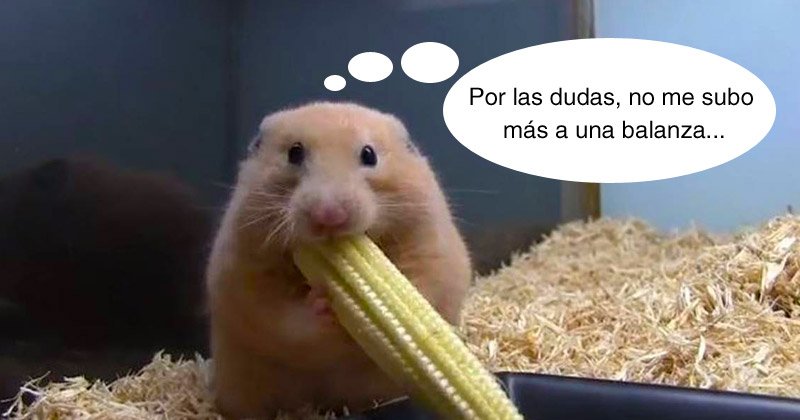 Humor de viernes Solo por hoy