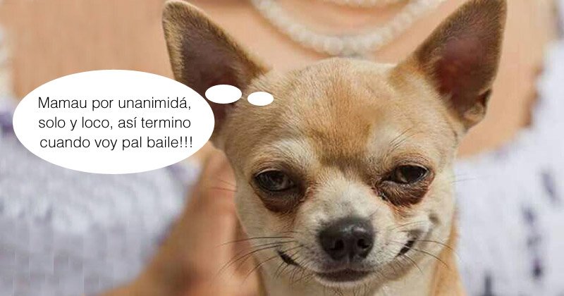 Humor de viernes pa poderlo contar