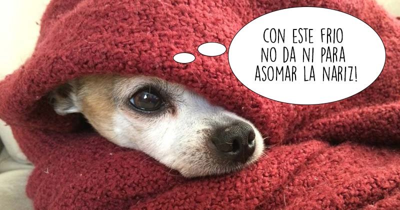 Humor de virnes Sigue girando