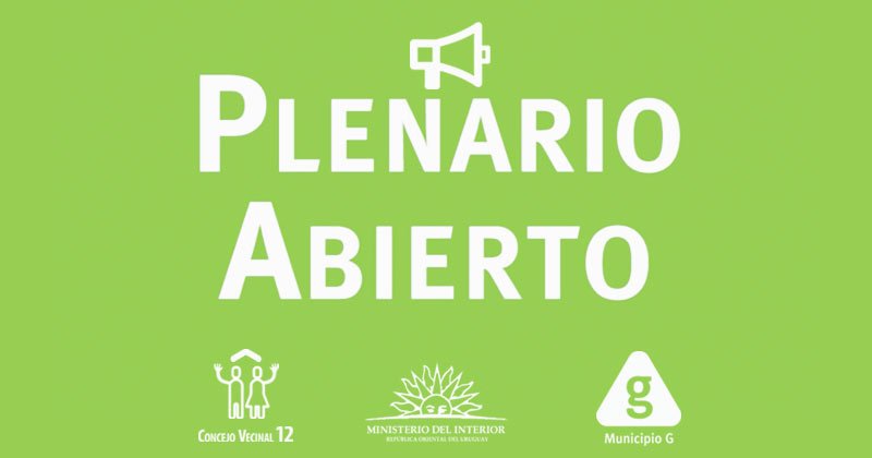 Plenario Abierto Colegio Pio