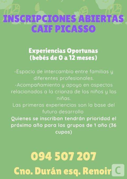 afiche caif picasso 2021