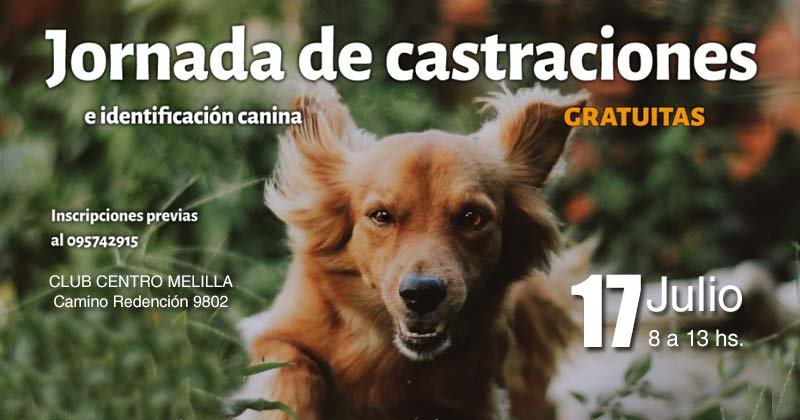 castraciones 17 de julio 2019