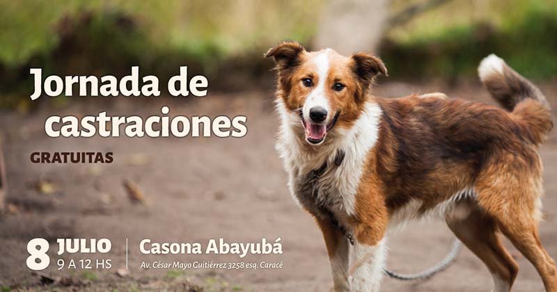 castraciones en julio 2019