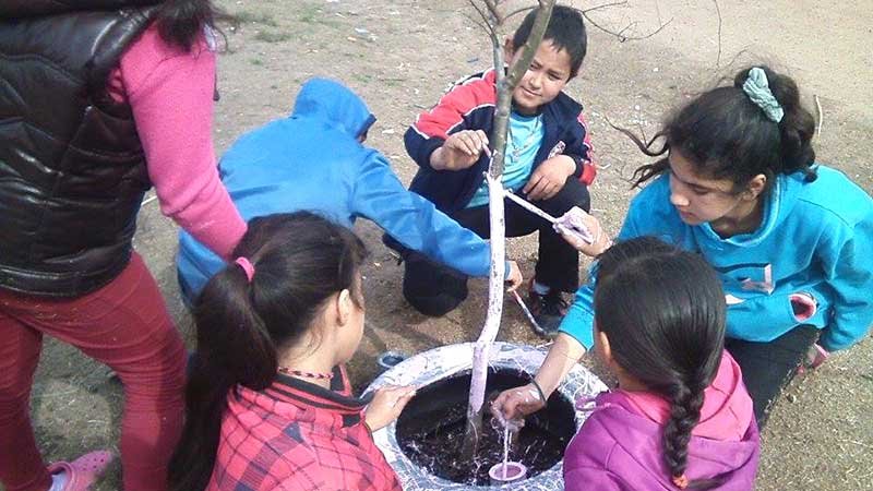 dia del nino las canas 01