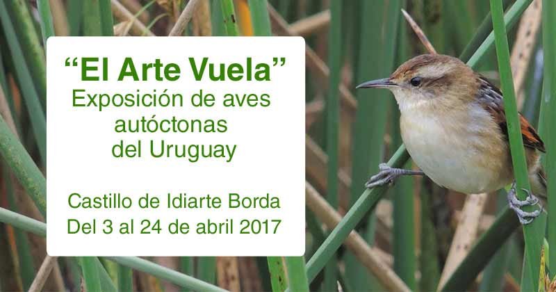 el arte vuela exposicion en el castillo