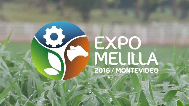 expomelilla