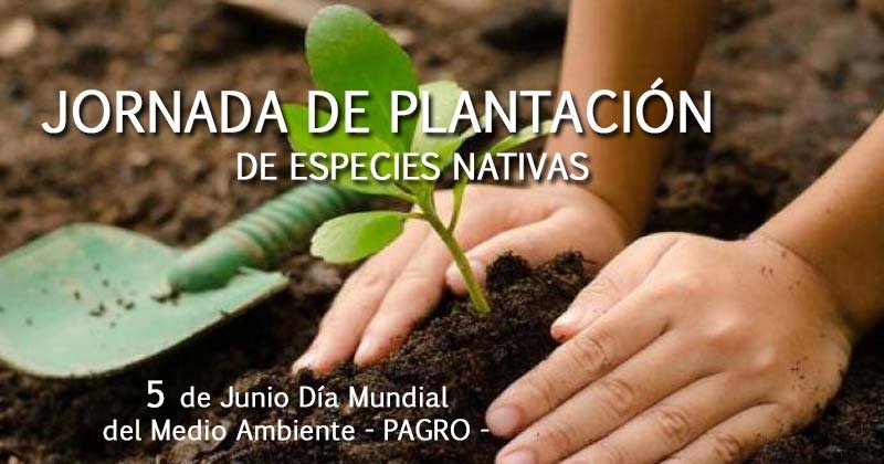 jornada de plantacion