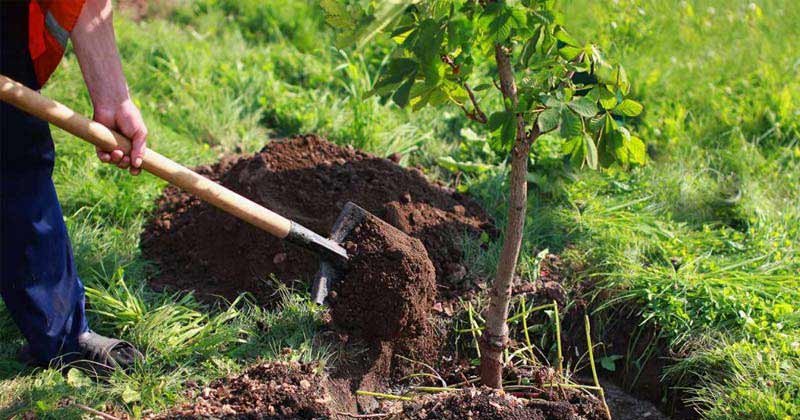 recuperacion de espacios verdes en colon