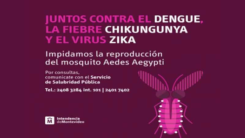 todos contra el aedes