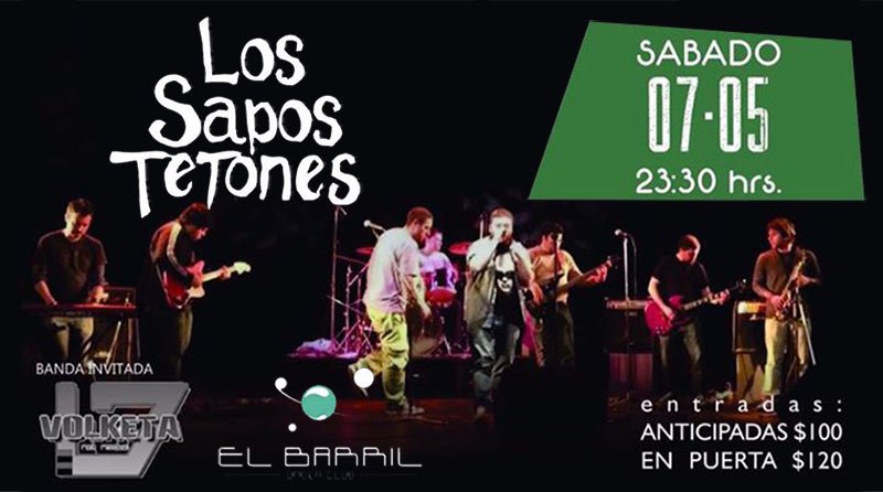 sapos tetones en el barril