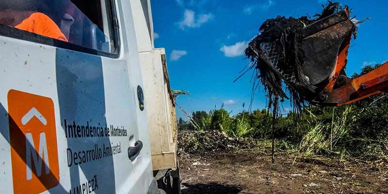 limpieza basural colon 02