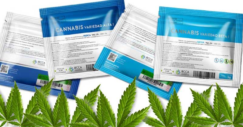 duplica adquirentes cannabis