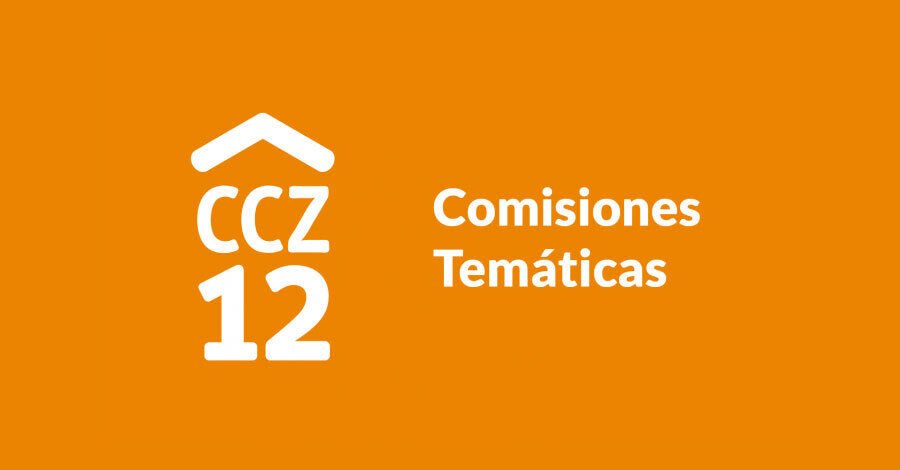Comisiones Temáticas en el Concejo Vecinal Zonal 12