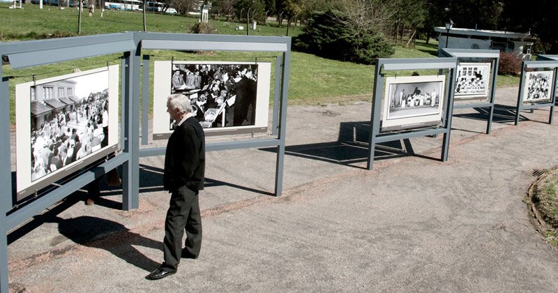 fotogaleria de megafauna