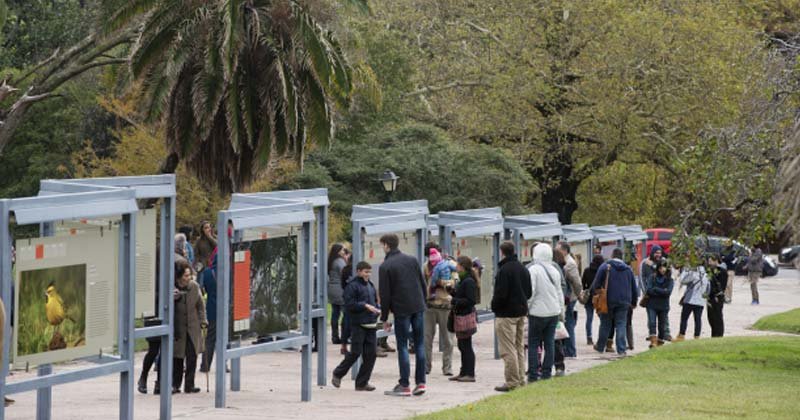 fotogalerias del prado 2018